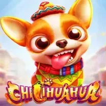 8QQ